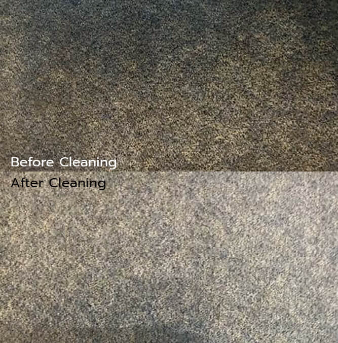 Before and After Carpet Cleaning